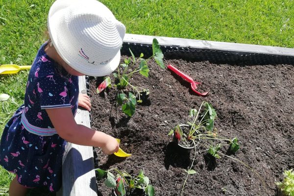 Gartenprojekt 01