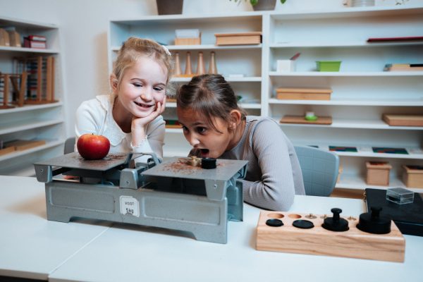 Primaria-Gewichte