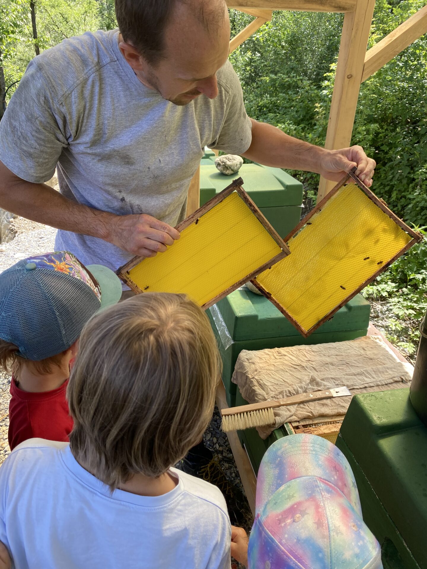 Bienenstock